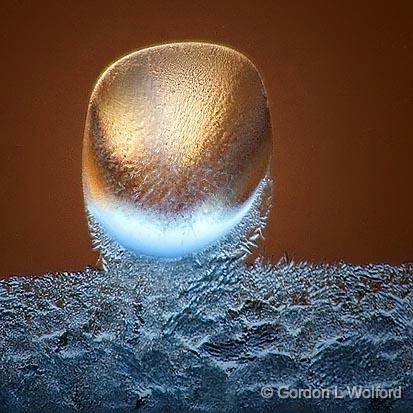 Window Frost_52717.jpg - Photographed at Ottawa, Ontario - the capital of Canada.